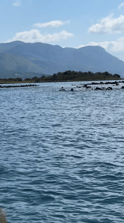 Aegean coastal waters and mountain shoreline, viewed from the water