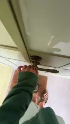 Here is a description of the video.

A person opens a white, glass-paneled door from the outside. Two dogs, a husky mix and a Labrador retriever, emerge as the door opens. The person's arm, clad in a green sweatshirt, is visible as they pull the door open and step inside. The doormat is brown and says "Welcome."  The person is wearing sandals. The interior of the house is visible, with a rug and plants as background elements.