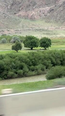 The video shows a natural landscape from a moving vehicle. In the foreground, a river flows with green vegetation on its banks. Further back, a field is dotted with trees, and a mountain range forms the backdrop. The mountain slopes are covered in sparse vegetation, with a road visible winding along its base. The sky is overcast, casting a soft light on the scene. The motion blur indicates that the footage was captured while traveling.