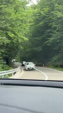 The video captures a scenic drive through a dense forest, likely in Šavnik, Montenegro, given the context. The road, bordered by lush green trees forming a canopy overhead, winds through the natural landscape. The time appears to be daytime, with diffused light suggesting an overcast or cloudy sky, and the weather seems mild, suitable for driving.

The primary subjects are vehicles navigating the road. A white sedan, possibly a Toyota Corolla, is prominently featured at the beginning, driving on the right side of the road. Following it, a dark Audi sedan is visible, also in motion. Further ahead, a white van or small truck can be seen, indicating a slow-moving procession on the narrow road. The camera appears to be positioned inside another vehicle, looking forward through the windshield, suggesting the perspective of a driver or passenger.

The setting is characterized by the dense foliage of deciduous trees, creating a tunnel-like effect on the road. The trees are a vibrant green, indicating a temperate season, likely spring or summer. The road itself is paved and appears well-maintained, with white lines marking the lanes and a guardrail visible on the left side. The overall mood conveyed is one of peaceful travel through nature, with a slight sense of mild congestion due to the pace of the vehicles.

There is visible text on the license plates of the cars. The white sedan's license plate is not clearly legible. The black Audi sedan has a license plate that reads "BD AV 153". The location cues (Šavnik, Montenegro) are inferred from the provided context, not directly visible in the video itself.