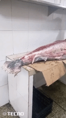 Man fillets large fish on makeshift table in tiled room
