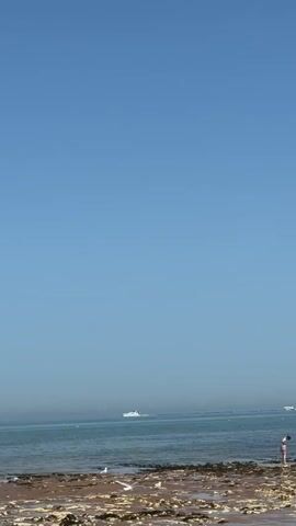 The video shows a low-angle view of a beach and ocean under a clear blue sky. The foreground is a rocky shoreline with scattered seaweed and a few seagulls. A person, appearing to be a child, is standing near the water's edge, seemingly searching for something. In the distance, several boats are visible on the water, and the horizon is slightly hazy. A few more people are near the shore.