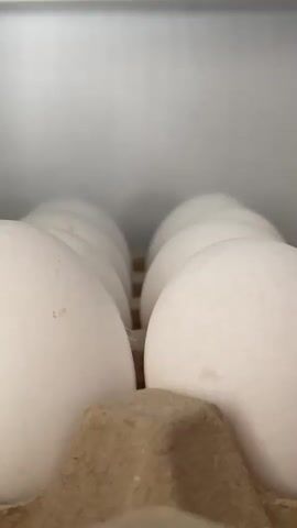 This is a close-up, low-angle video of a carton of white eggs inside a refrigerator. The camera slowly pans across the eggs, revealing the carton and some of the refrigerator's interior. The lighting suggests the refrigerator door is open, illuminating the eggs and the shelf they rest on. The eggs are mostly obscured by the carton, with only the tops of a few visible. The carton appears to be made of recycled cardboard and is filled with eggs. The background shows the white interior of the refrigerator and a glimpse of another shelf with containers. The video is static except for the slow pan of the camera. There are no people or animals present in the video.