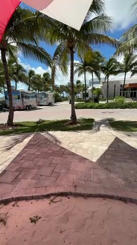 The video shows an outdoor scene with palm trees and a paved walkway. In the background, there are trailers, buildings, and a body of water. The sun is shining, and there are clouds in the sky. The camera is positioned at ground level, looking towards a path lined with palm trees. The path is made of interlocking pavers and there is a sandy area in the foreground. There are also some red and white fabric shades overhead.