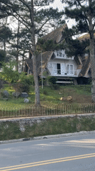 Roadside building documented on hill in Da Lat, Vietnam