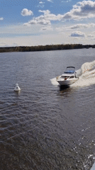 White motorboat spotted moving through waters near Kondratovo, Russia