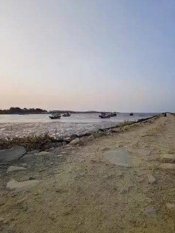 The video shows a wide shot of a body of water with several small boats on it. The water appears to be shallow in some areas, with exposed mudflats. The sky is clear and a pale blue, with a hint of sunset colors on the horizon. The foreground is a rough, sandy bank with rocks and some sparse vegetation. The scene is calm and serene.