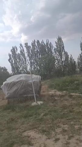 A video of a hay bale covered in plastic wrap. The hay bale is in a field with tall trees in the background and cloudy skies overhead. There are two poles to the left of the hay bale, one closer and one further away. The plastic wrap is taut and appears to be holding the hay bale in place. The video is shaky and appears to have been filmed on a mobile device.