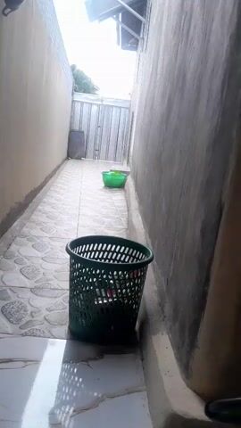 This is a short, shaky video of a narrow outdoor passageway, likely a backyard or side alley. The walls on either side are constructed from concrete or stucco, one painted a light tan and the other a rougher, darker grey. The ground is paved with square tiles featuring a light grey and white patterned design.

Dominating the foreground is a dark green, perforated plastic trash can. Further down the passageway, near a large metal gate at the end, sits a smaller, brighter green plastic basket. To the left of the gate, a dark grey cylindrical object, possibly another bin, is visible. The gate itself appears to be made of corrugated metal panels. Above the gate, a portion of a simple roof structure with visible wooden supports extends outwards.

The lighting suggests it is daytime, with the sky appearing bright and overcast, hinting at possibly cloudy weather. The overall atmosphere is mundane and utilitarian, focusing on the arrangement of everyday objects in an outdoor space. There is no visible text within the frame.