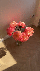 Morning domestic scenes documented in Izhevsk apartment with construction view