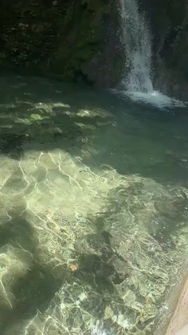 A video shows a natural pool of clear water with sunlight filtering through the trees, creating dappled patterns on the water's surface. A small waterfall cascades down mossy rocks in the background. The water is shallow enough to see the rocky bottom. The shot is taken from above the water's edge, looking into the pool.