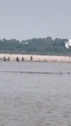 A wide shot captures a river scene with a sandy bank in the distance. Several figures, likely people, are visible on the sandy bank and wading in the shallow water near the bank. Some of these figures appear to be engaged in fishing activities, possibly using nets. Birds are flying in the sky and on the bank. The water in the foreground is murky and calm, with some debris floating on the surface. Lush green trees form a backdrop behind the sandy bank, and a white building is visible on the far right of the scene. The sky is overcast.