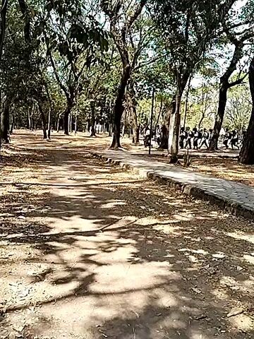 A group of people in dark clothing are walking on a paved path in a park. The path is lined with trees and has shadows cast by the sun. There are more trees in the background.