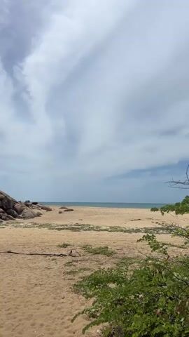 This media file captures a tranquil beach scene in Shastrawela, Sri Lanka. The camera pans across a sandy beach with scattered driftwood and sparse vegetation. In the background, a large, rocky hill covered in greenery slopes down towards the sea. The ocean is calm with a clear horizon, meeting a sky filled with dynamic, wispy clouds. The time of day appears to be daytime, with the lighting suggesting it could be late morning or early afternoon. The weather seems fair, with the clouds indicating a possibility of changeable conditions but no immediate signs of rain. The overall atmosphere is one of peaceful isolation and natural beauty. There is no visible text in the media file.