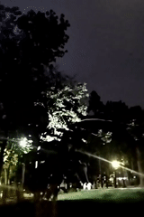 Nighttime park gathering documented by witnesses in Dhaka