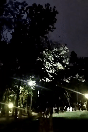 Nighttime park gathering documented by witnesses in Dhaka