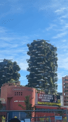 Morning views of Milan's modern Porta Nuova district documented