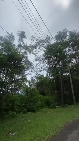 The video shows a view from a moving vehicle driving on a road bordered by lush green vegetation and tall trees. The sky is overcast, with the sun occasionally breaking through the clouds. Power lines are visible overhead, stretching across the frame. In the distance, there are mountains or hills covered in dense foliage. A yellow diamond-shaped warning sign with a black symbol depicting falling rocks is clearly visible on the right side of the road. The road appears to be paved and curves slightly to the right. The overall impression is of a scenic drive through a forested area, possibly in a mountainous region.