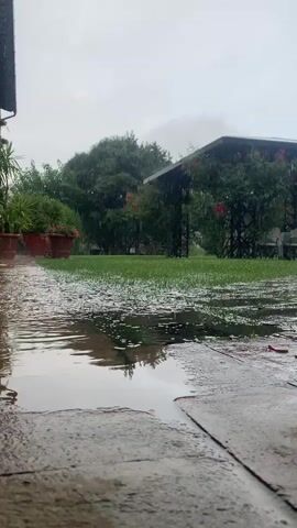 A low-angle shot shows a wet patio with puddles and leaves. Beyond the patio is a patch of green grass that is also wet and has a layer of what appears to be small white objects, possibly hail. In the background is a covered structure with a dark roof supported by metal posts. Red flowers are visible on the structure. Trees with green foliage surround the area. The sky is overcast and appears to be raining.