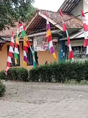 The video shows a street scene in front of a building, likely a shop or restaurant, adorned with numerous colorful flags. The flags are predominantly red and white, suggesting a national celebration. Some flags are also yellow and purple. The building has a tiled roof and appears to be a simple structure. In front of the building, there is a row of neatly trimmed green bushes. The ground in front of the bushes is a mixture of dirt and gravel, with a paved area in the foreground. A sign is visible on the building, advertising "BASO". A person is partially visible sitting or standing inside the building. The overall impression is a lively and festive atmosphere.