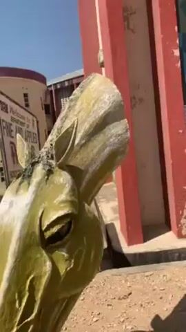 The video shows a close-up of a horse statue made from cement and painted green and white. The statue is standing outside a building, and a sign behind it reads "Welcome to the Department of Fine and Applied Arts". The statue's paint is flaking off, and it has a tired expression on its face. The background features a building with red and white pillars and a cylindrical structure. The ground around the statue is dirt and gravel. The sky is clear and blue. There are no people visible in the video.