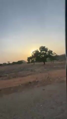 The video shows an agricultural field at sunset, filmed from a moving vehicle. The field is largely barren, with visible tilled soil and dry vegetation scattered around. The sun is low in the sky, creating a warm, golden glow. Scattered trees dot the landscape, and distant hills can be seen on the horizon. The wind is quite strong, as evident from the sound. The camera pans across the scene as the vehicle moves forward.