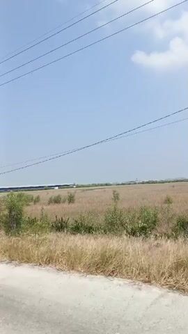 A video shows a landscape with dry grass and some bushes. The sky is clear and blue with a few white clouds. Overhead, power lines are visible. The camera appears to be moving, possibly from a vehicle, as the landscape shifts. In the distance, there are some structures that look like buildings or warehouses. The scene is rural and seems to be under a bright sun.