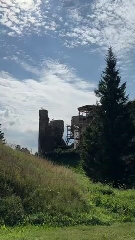 The video shows a ruined stone tower with two storks perched on it. The tower is partially in scaffolding, suggesting ongoing restoration work. A tall, dark green tree is visible to the right of the tower. The sky is cloudy, with patches of blue. The foreground is a grassy slope with weeds. The camera zooms in on the tower and the storks.