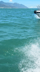 Morning ferry ride to a tropical beach and resort