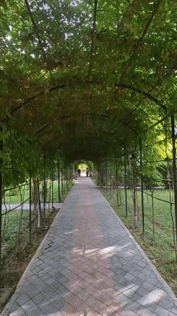 Public garden scenes documented in Dushanbe, Tajikistan