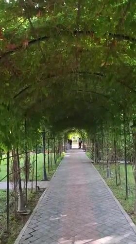 Public garden scenes documented in Dushanbe, Tajikistan