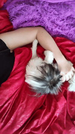 Woman enjoys quiet morning with pet dogs in Izhevsk