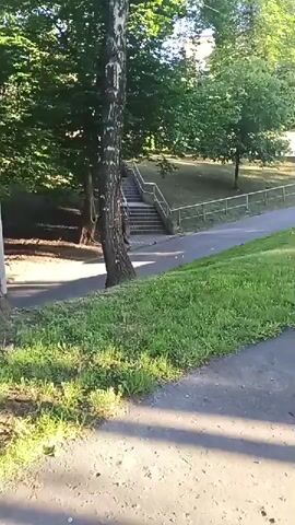 The video shows a park with trees, grass, and a pathway. In the background, there is a building and a set of stairs. The sun is shining, casting long shadows on the grass. A person can be seen walking up the stairs in the first frame. In the following frames, the person is no longer visible and the camera pans to show a wider view of the park. There are benches scattered throughout the park.