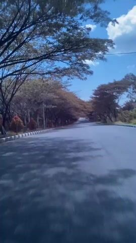 The video shows a drone shot moving along an empty asphalt road lined with trees. The trees on both sides of the road form a canopy overhead, with their leaves appearing brown and dry. The sky is blue with white clouds. A white motorcycle with a rider is visible on the right side of the road, moving in the same direction as the drone. The drone's movement is smooth and steady. The overall impression is a serene, natural setting with a touch of human presence.