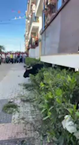 The video depicts an outdoor scene in what appears to be a residential street, possibly during a public event or celebration. People are visible on the balconies of multi-story buildings, looking down at the street. More people are gathered on the sidewalk in the background. In the foreground, there are green bushes along the base of a building, with numerous small green leaves and possibly some white debris scattered on the paved ground next to them. The sky is bright blue, indicating clear weather and daytime.

An unseen speaker is making announcements in Spanish. Words like "Premio" (prize/award) and phrases like "El santo es para quien lo tiene con publicación" (The saint is for whoever has it with publication) and "una bofetada" (a slap, possibly figurative or playful) are audible, suggesting a festive or traditional event, perhaps involving a raffle, game, or a public display of some kind. Colorful flags are faintly visible strung across the street in the distance. The overall atmosphere suggests a community gathering.