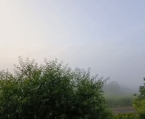 Foggy dawn captured in rural Roza, Bulgaria