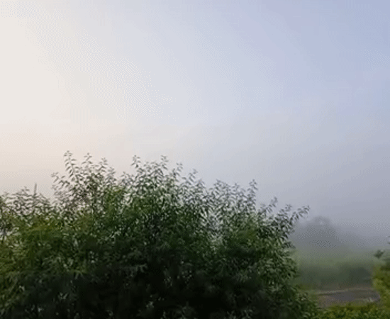 Foggy dawn captured in rural Roza, Bulgaria