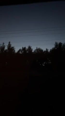 The video shows a static, low-quality shot of trees against a dark blue sky. Power lines are visible above the trees. The trees are silhouetted and appear dark, suggesting it is either dusk or night. The overall scene is dim.