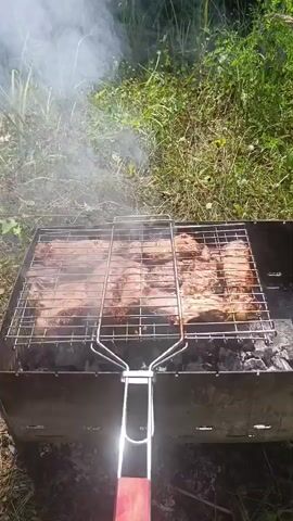 The video opens with a close-up of meat cooking on a grill over coals, with smoke rising. The camera then pans up and to the right, revealing lush green grass, trees, and foliage. A black kettle is visible in the lower right corner. The camera continues to pan, showing more trees and a clearing with a tent pitched among the trees. The scene appears to be a campsite in a wooded area.