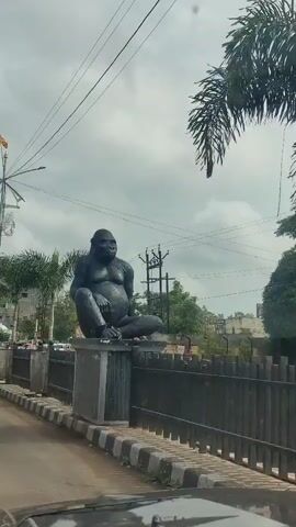 A large black gorilla statue is seated on a pedestal behind a black metal fence with stone and metal posts. The statue is positioned outdoors, with a road and sidewalk in the foreground. Trees and buildings are visible in the background under a cloudy sky. Power lines are strung across the sky.