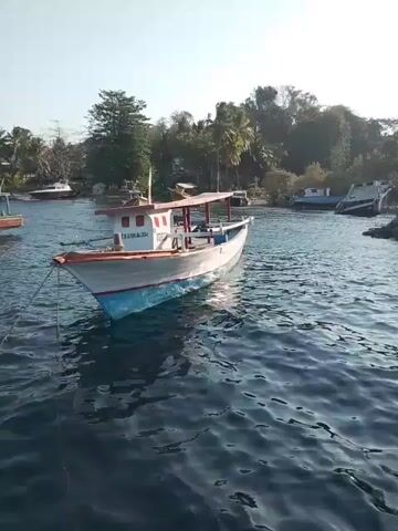 The video shows a boat on the water. The boat is white with red trim and a blue bottom. It is docked at a pier. In the background, there are trees and other boats. The water is choppy and reflects the sunlight. The sky is clear and blue. The video appears to be taken from another boat.
