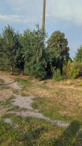 The video pans across a backyard area with a mix of grass, gravel paths, and various trees and shrubs. In the background, a partially constructed brick building with a damaged roof is visible, surrounded by trees. The sky is partly cloudy. There are no people or animals in the video. The overall impression is a rural or semi-rural setting with landscaping and a building project underway.