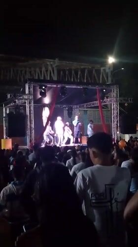 Musical performances and livestock displays at Tinaquillo community event