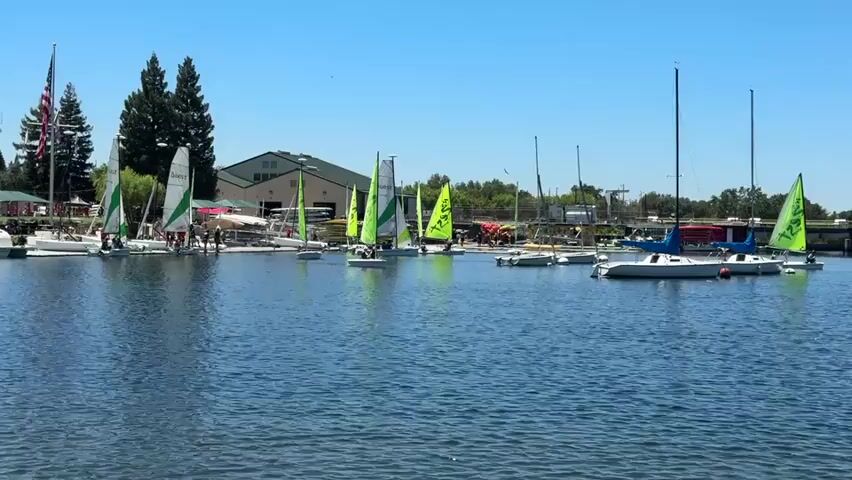 A fleet of small sailboats with brightly colored sails, predominantly green and white, are gathered in a calm body of water under a clear blue sky. The sailboats are of various sizes, with some appearing to be dinghies and others slightly larger vessels. Several boats are docked or moored near a waterfront area with a building, trees, and a flagpole flying an American flag. People are visible on the dock and in some of the boats, suggesting activity related to sailing or a regatta. In the background, there is a bridge or overpass with vehicles crossing it, and more trees and structures line the horizon. The water's surface is gently rippled, reflecting the bright sunlight and the blue of the sky. The scene depicts a pleasant, active day at a marina or sailing club.