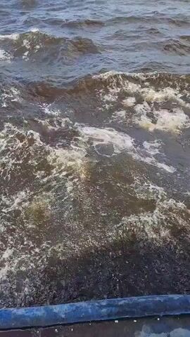 A choppy, dark body of water is seen with small waves and white foam. The camera appears to be mounted on a vessel, as a blue and black railing is visible in the lower portion of the frame. The water is moving briskly.