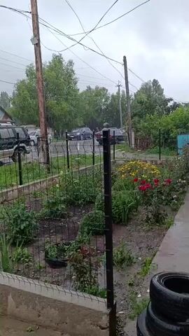 The video shows a garden with various plants and flowers. It appears to be raining, as evidenced by the wet ground and the visible raindrops in the air. There are several cars parked on the street in the background, and some houses and trees are also visible. A fence encloses the garden, and a black metal pole stands in the foreground. Several old tires are stacked near the fence. The overall atmosphere suggests a cloudy and wet day.