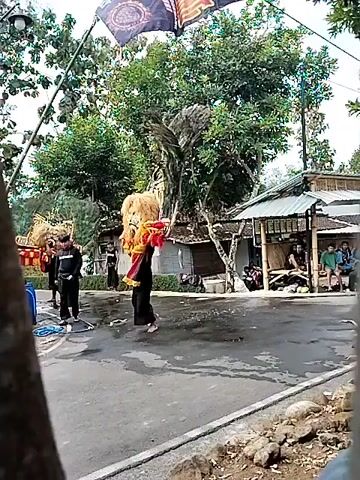 This is a video taken outdoors during the daytime. The foreground is out of focus, showing a tree trunk and some dirt. The main action takes place on a paved road. In the center of the frame, a person wearing a black outfit and a red headscarf is holding up a large, elaborate costume or prop. This prop is shaped like a giant face with a prominent eye and is decorated with tan, red, and yellow fabric. It is attached to the person's body and they are maneuvering it. To the left of this person, another individual in a black outfit is standing near a blue plastic barrel and some hoses. In the background, there are several other people, some appearing to be part of a procession or performance. There are also some structures, including a building with a corrugated metal roof and bamboo supports. A flag with some text and imagery is visible flying from a pole in the upper left of the frame. The overall scene suggests a cultural performance or event.