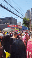 Venezuelan flag celebration draws crowds across Santiago, Chile