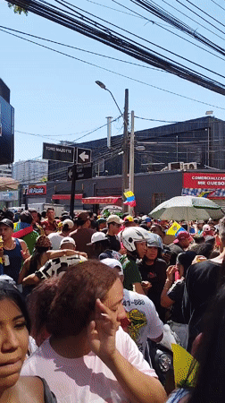 Venezuelan flag celebration draws crowds across Santiago, Chile