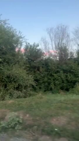 This is a horizontal video, with a slight tilt upwards, showing a blurred view of trees and foliage. The foliage appears dense and green, with some areas appearing lighter or having a yellowish-brown hue. The sky is visible above the trees, showing a gradient from a pale blue at the top to a lighter hue closer to the horizon. There are hints of pinkish-orange clouds in the distance. The foreground is also blurred, showing what appears to be a dirt or gravel path. The video seems to be filmed from a moving vehicle, given the motion blur. The lighting suggests it is either early morning or late evening.